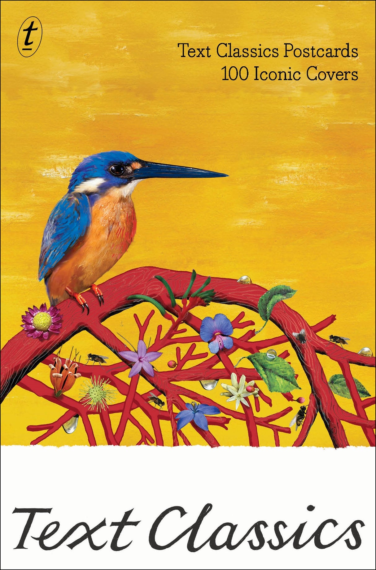 Text Classics Postcards