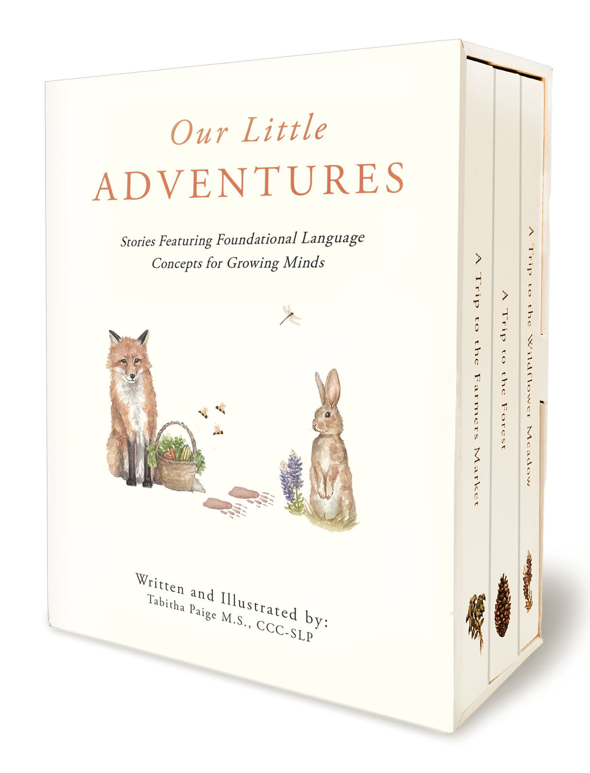 Our Little Adventures