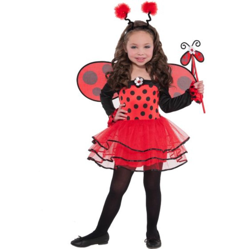 Costume Ballerina Bug 3-4 Years