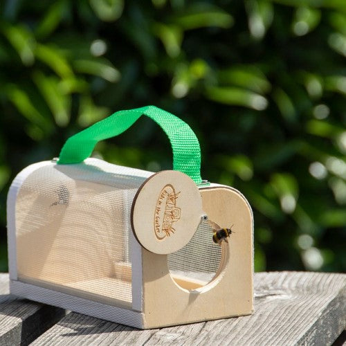 Kids Wooden Studying Box - Large (Set of 2)