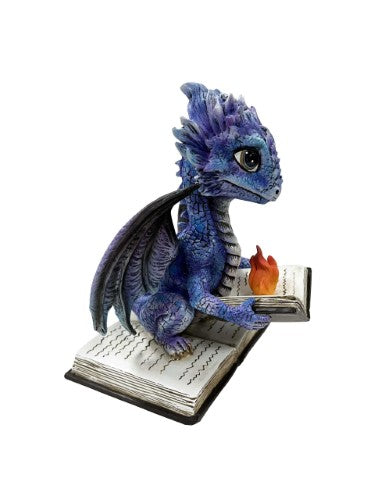 Ornament - Dragon Reading Book on Fire (15cm)
