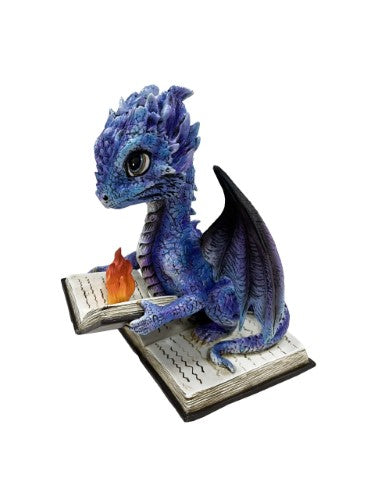 Ornament - Dragon Reading Book on Fire (15cm)