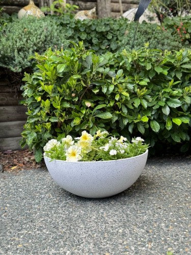 Bowl - Nova Large White 23 x 55cm (Set of 2)