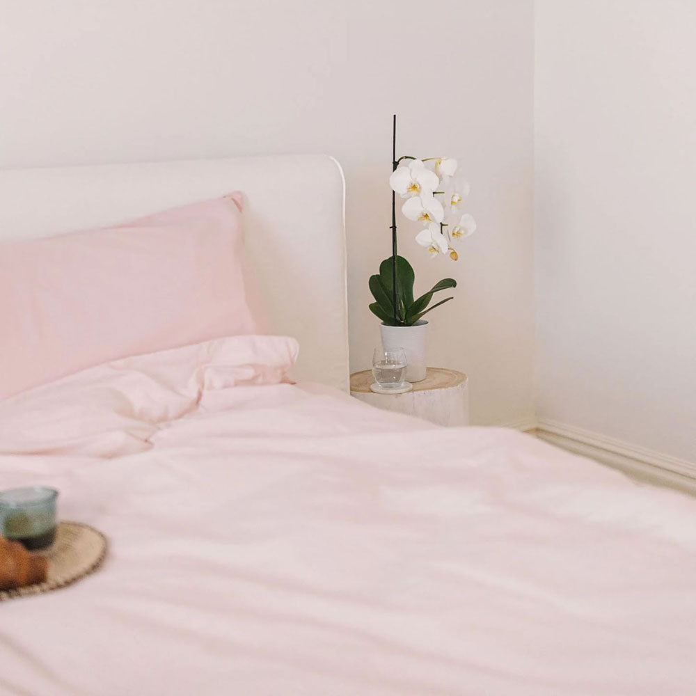 Pink Salt Fitted Sheet And Pillowcase Set Queen - Bambury