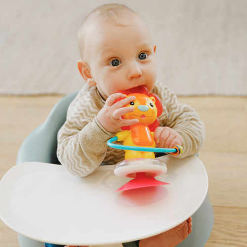 Suction Toys - Bumbo Luca the Lion