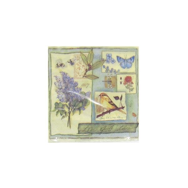 Garden Life Cocktail Napkins feature vibrant garden designs, 2-ply quality, and are perfect for parties and gatherings.