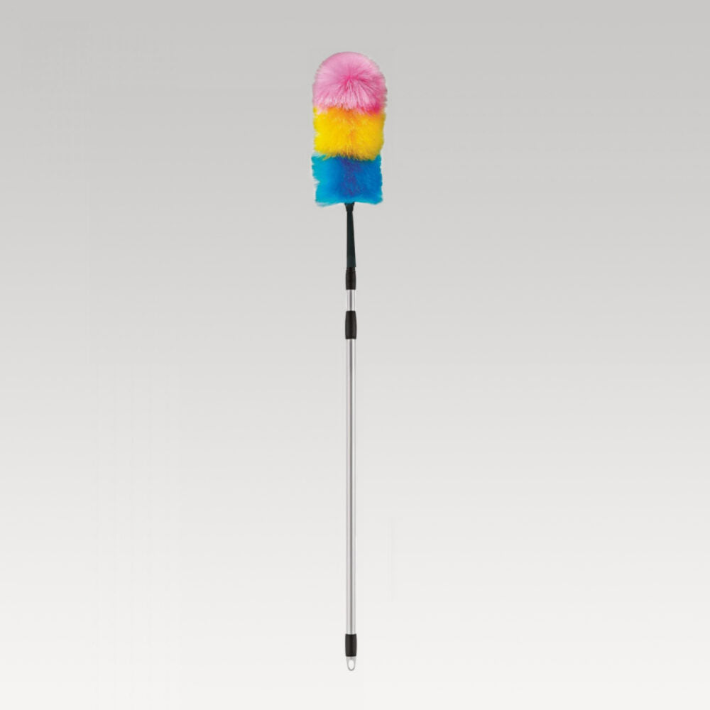 Duster with Telescopic Handle