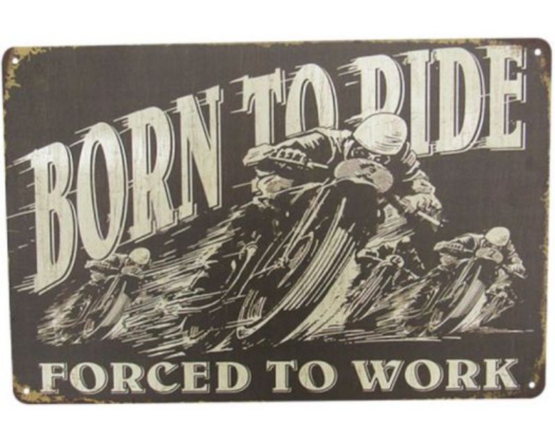 Art Tin Work or Ride