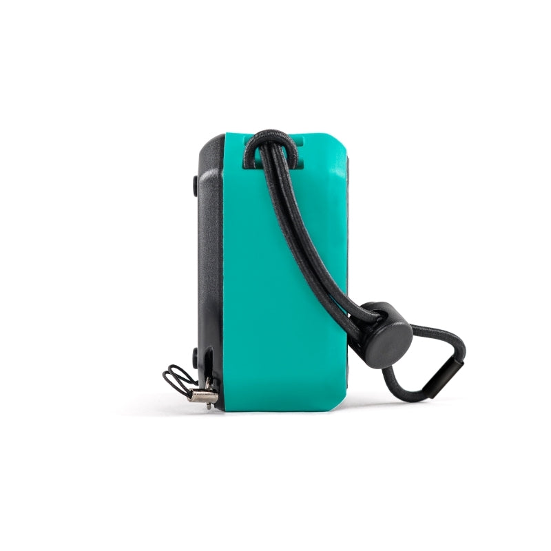 EcoXgear EcoPebble Lite Mint
