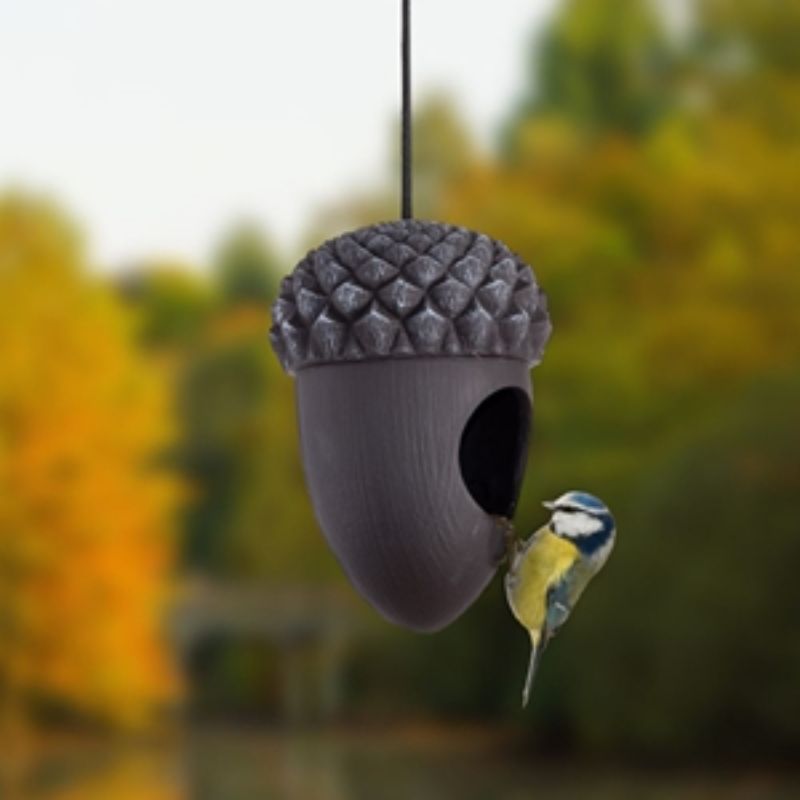 Bird House - Acorn (11 x 16cm)