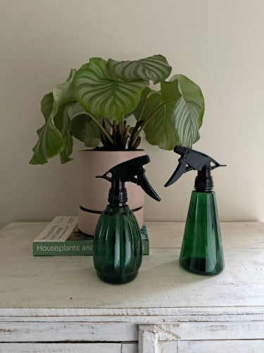 Plant Mister - Green Plastic (Set of 6)