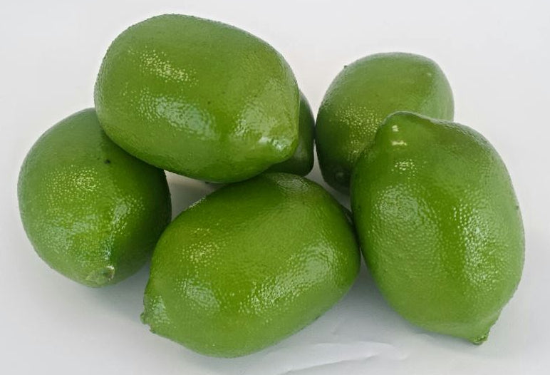 Plastic / Artificial Fruit - Lime x 1