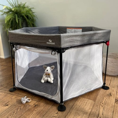Play Pen - Moose Harley