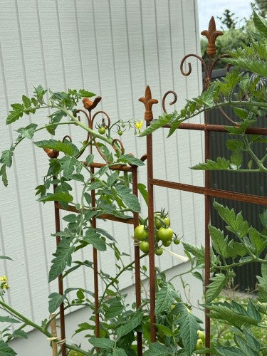 Plant Support - 2D Fleur-de-lis 32 x 165cm (Set of 2)