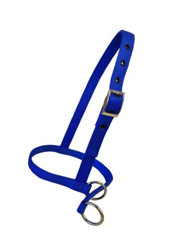 Taurus Nylon Calf Leading Halter Blue