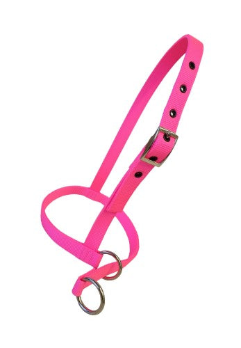 Taurus Nylon Calf Leading Halter Hot Pink