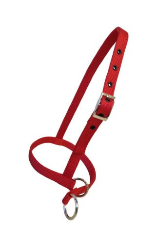 Taurus Nylon Calf Leading Halter Red