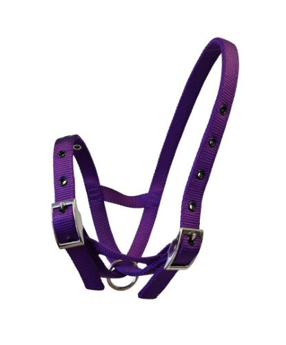 Taurus Nylon Calf Tethering Halter Purple