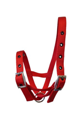 Taurus Nylon Calf Tethering Halter Red