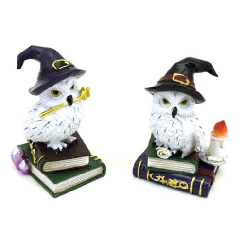 Ornament - Wise Old Magical Owl on Spell Books (Set of 2 Asstd)