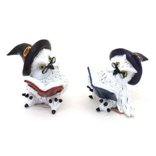 Ornament - Wise Old Magical Owl Reading Spell Books (Set of 2 Asstd)