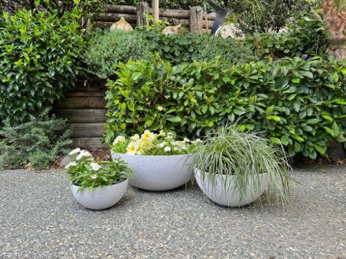 Bowl - Nova Medium White 17 x 35cm (Set of 2)