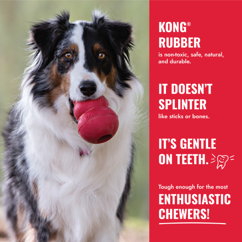 Dog Toy - KONG Ring (Small/Medium)