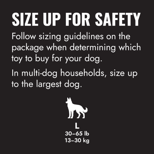 Dog Toy - KONG Extreme Flyer