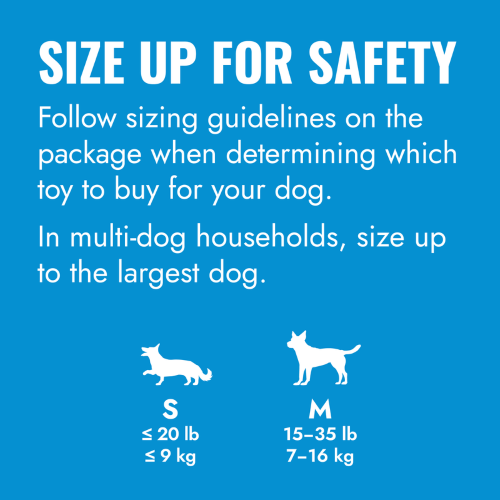 Dog Toy - KONG Puppy Activity Ball Assorted (Sml)