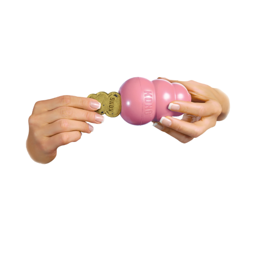 Dog Treat - KONG Snacks Puppy Small (200g)