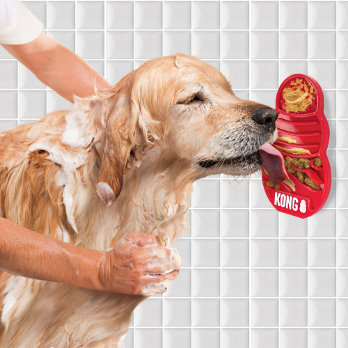Dog Treat - KONG Licks (Small)