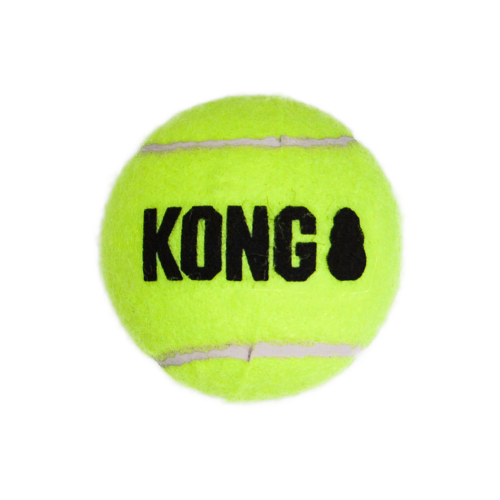 Squeaker Balls - KONG AirDog Medium