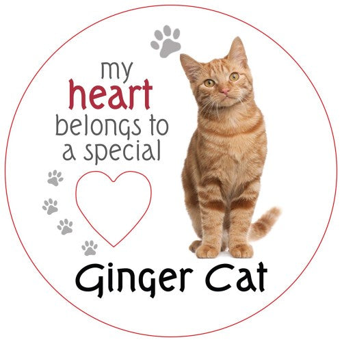 Ginger Cat Piece of My Heart Magnet (Set of 2)