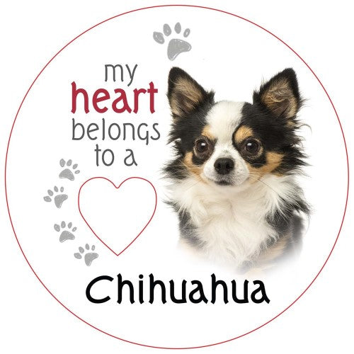 Chihuahua (Long Haired) Piece of My Heart Magnet (Set of 2)