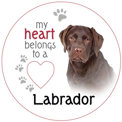 Chocolate Labrador Piece of My Heart Magnet (Set of 2)