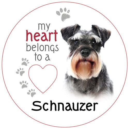 Schnauzer Piece of My Heart Magnet (Set of 2)