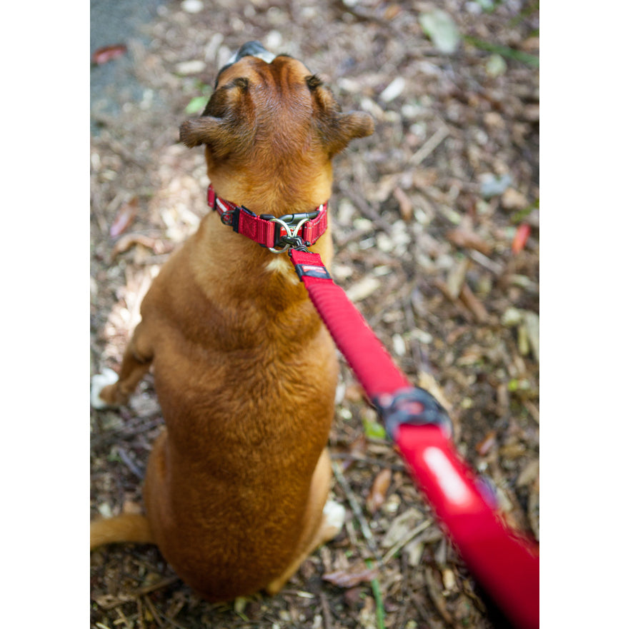 Dog Lead - Ezy Dog Zero Shock Leash - 120cm - Red