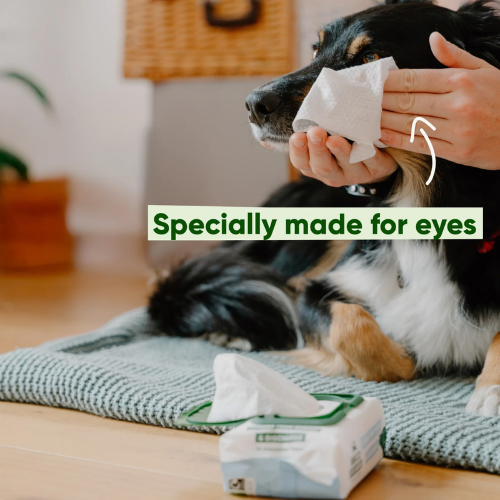 Eye Wipes - Beco Unscented (70pk)