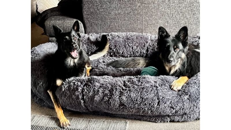 "Me & My Pooch" Pet Bed Charcoal - 180x130cm