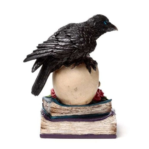Ornament - Crow Perched on LED Skull & Books (19.5cm)