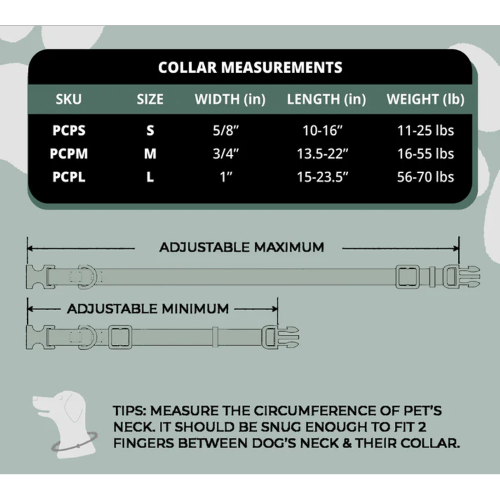 Dog Collar - Fender Guitars Small (25-40cm)