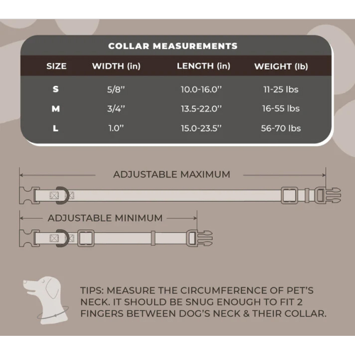 Dog Collar - Alchemy No Evil Medium (34-56cm)