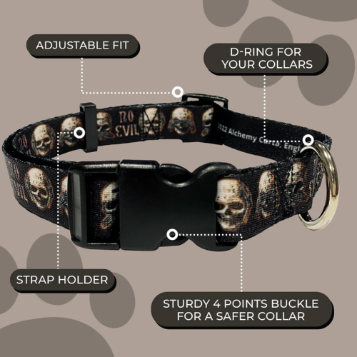 Dog Collar - Alchemy No Evil Large (38-60cm)