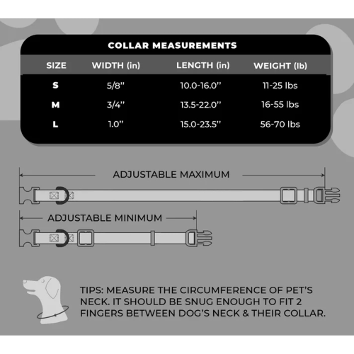 Dog Collar - ACDC Black & White Logo Large (38-60cm)