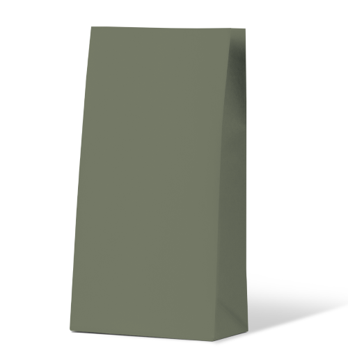 Paper Bags - Earth Green Medium Coloured Gift Paper Bag 500/ctn