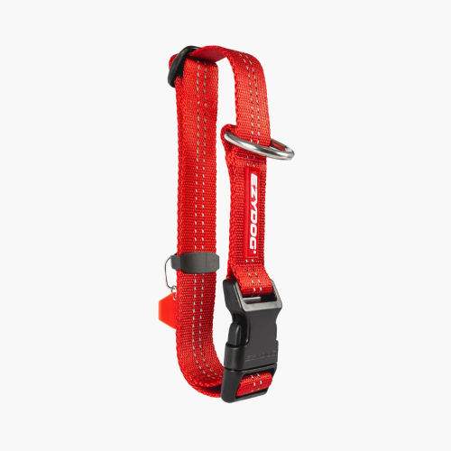 Dog Collar - ED Essential Adjustable Small (Red)