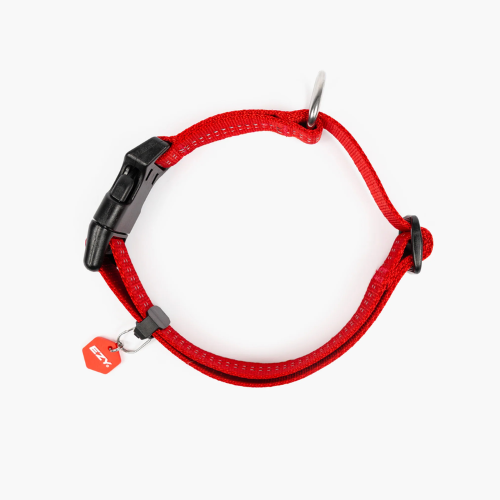 Dog Collar - ED Essential Collar Adjustable Medium (Red)