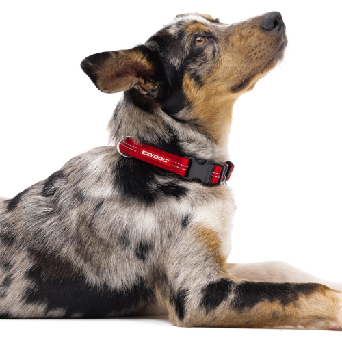 Dog Collar - ED Essential Collar Adjustable XL (Black)