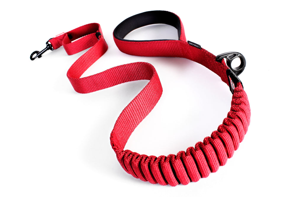 Dog Lead - Ezy Dog Zero Shock Leash - 120cm - Red