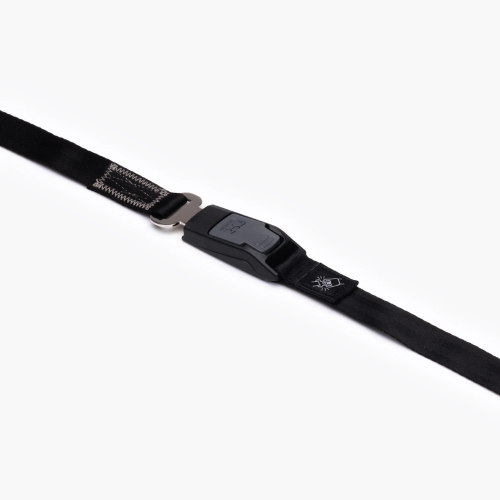 2-in-1 Car Leash Dog Seatbelt